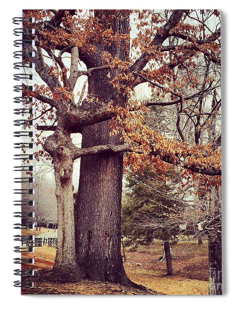 Tree Spiral Notebook featuring the photograph Tree Hugging by Kerri Farley