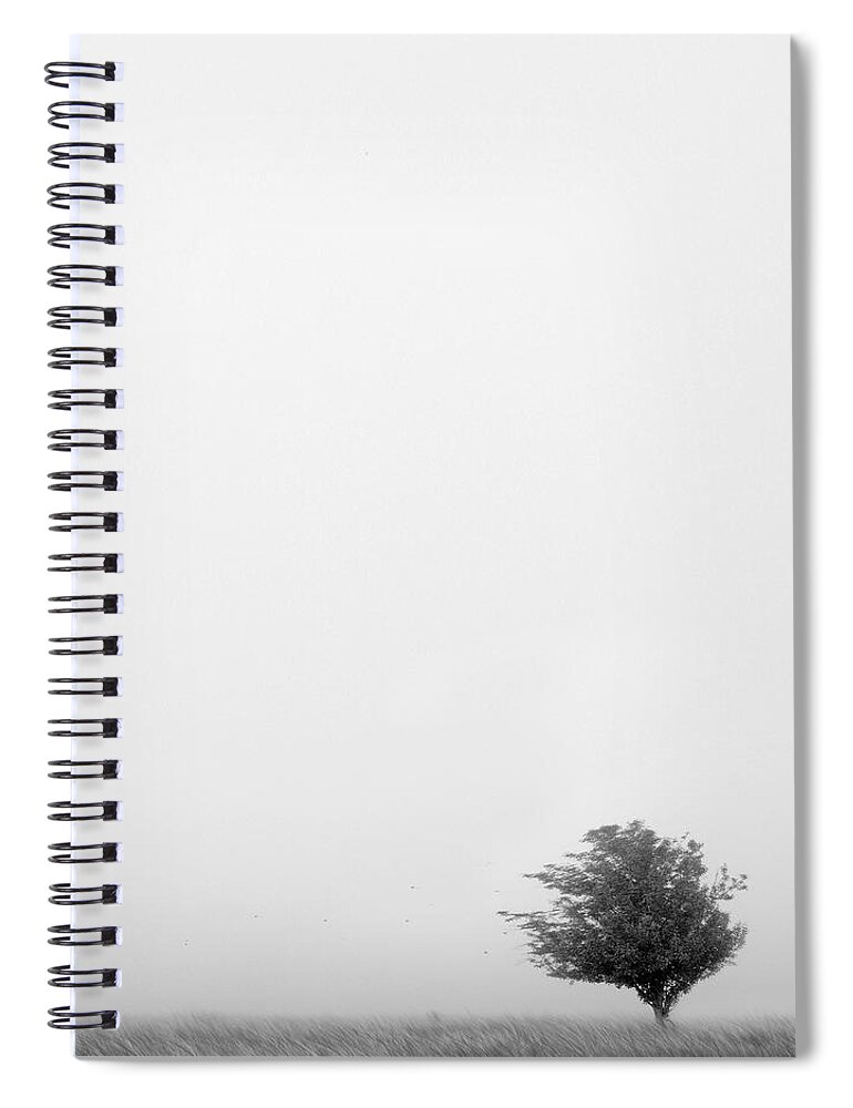 Landscape Spiral Notebook featuring the photograph Tree in the Wind by Mike McGlothlen