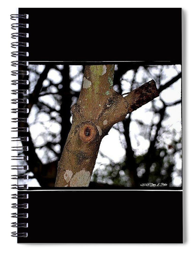 Tree Spiral Notebook featuring the photograph Tree Observation by Tara Potts