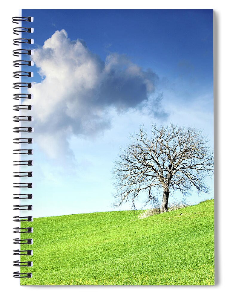 Tranquility Spiral Notebook featuring the photograph Tree On Slope by Christiana Stawski