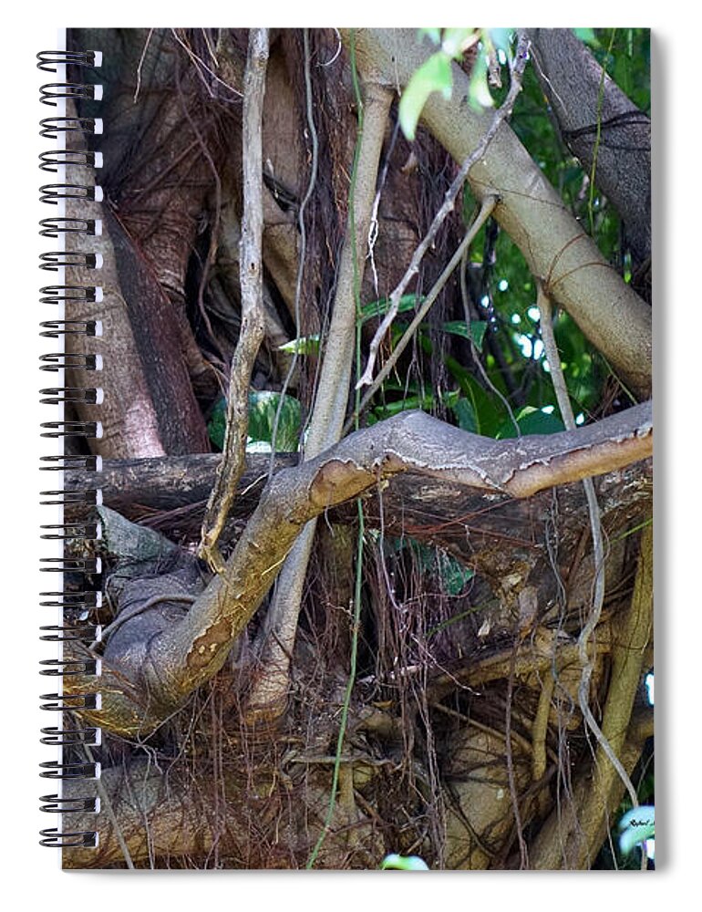 Tree Spiral Notebook featuring the photograph Tree by Rafael Salazar