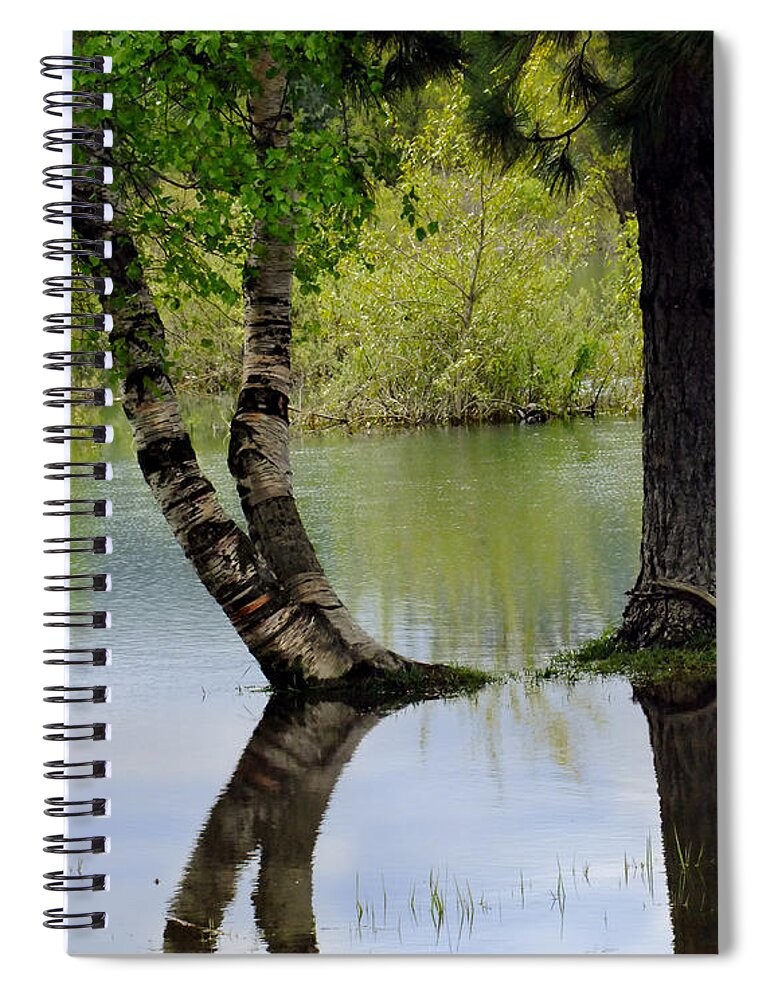 Tree Reflections Spiral Notebook featuring the photograph Tree Reflection by Kae Cheatham
