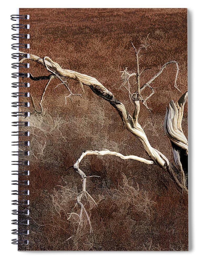 Tree Skeleton Spiral Notebook featuring the photograph Tree Skeleton by Wes and Dotty Weber
