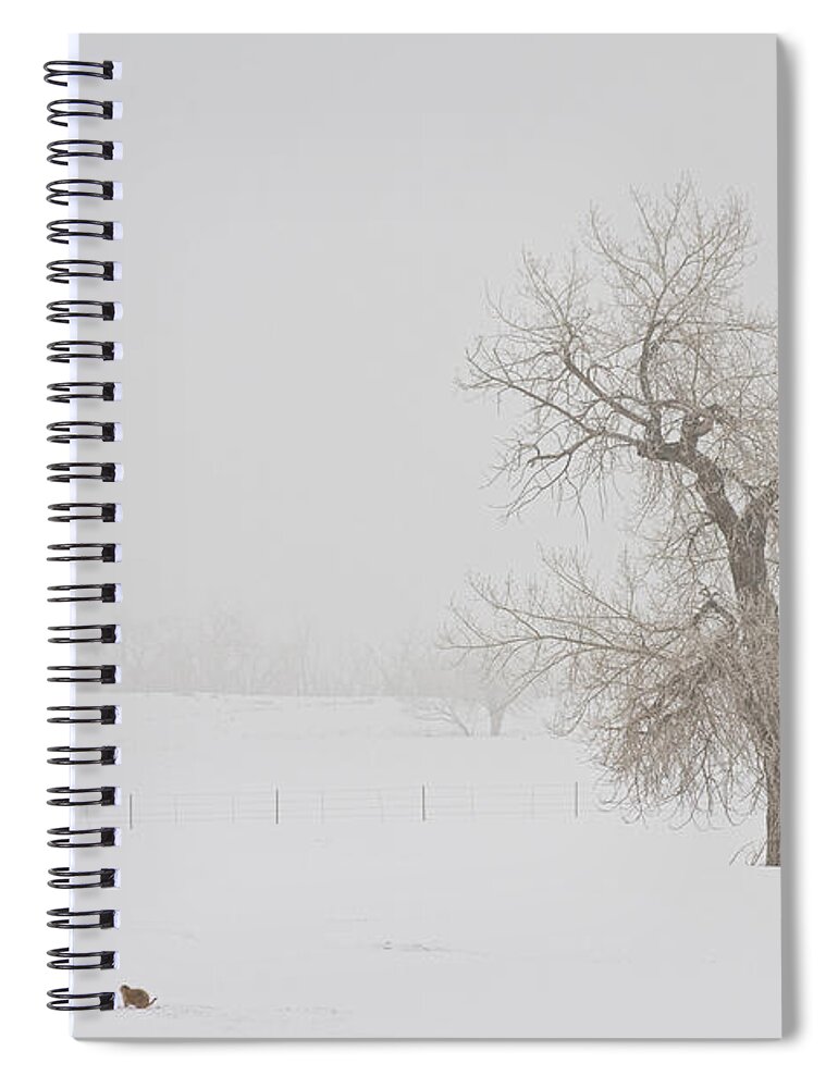 Snow Spiral Notebook featuring the photograph Tree Snow Fog and The Prairie Dog by James BO Insogna