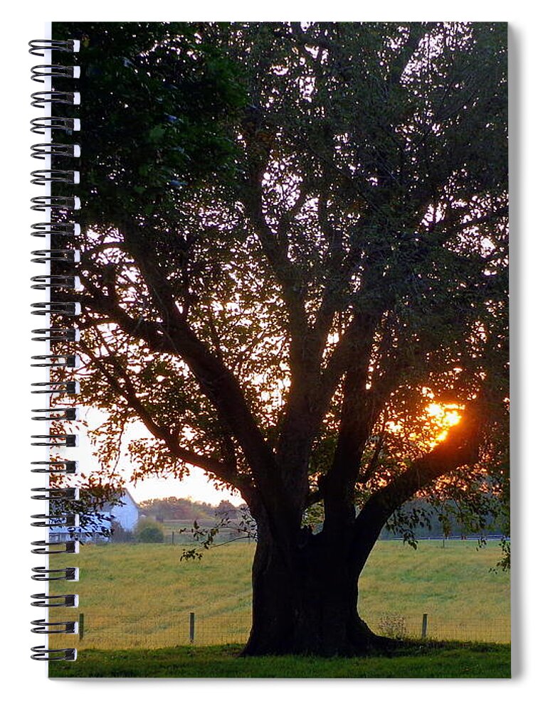 Skompski Spiral Notebook featuring the photograph Tree with Fence. by Joseph Skompski