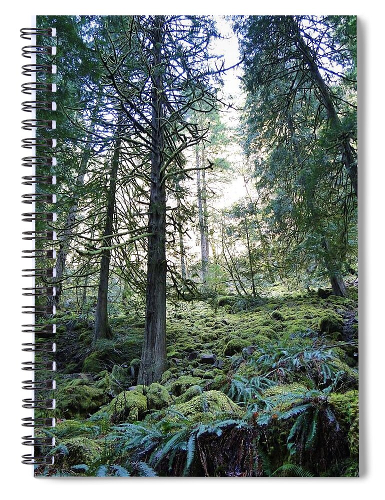Trees Spiral Notebook featuring the photograph Treequility by Athena Mckinzie