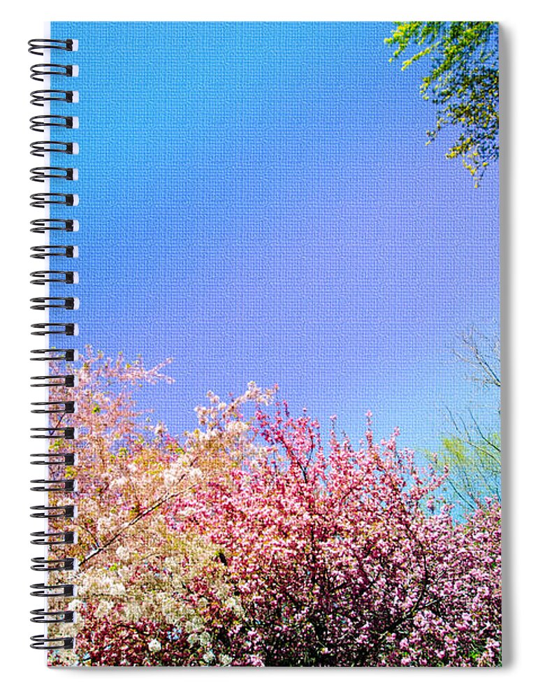 Trees Spiral Notebook featuring the photograph Trees Around by Crystal Wightman
