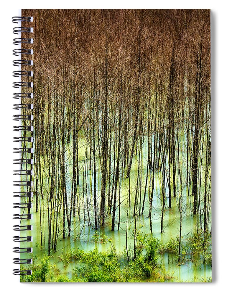 Trees Spiral Notebook featuring the photograph Trees Near Mt. St. Helens by Niels Nielsen