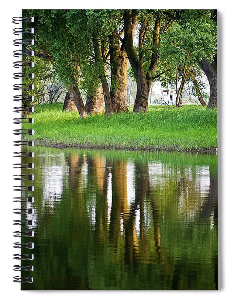 Water Spiral Notebook featuring the photograph Trees Reflection on the Lake by Heiko Koehrer-Wagner
