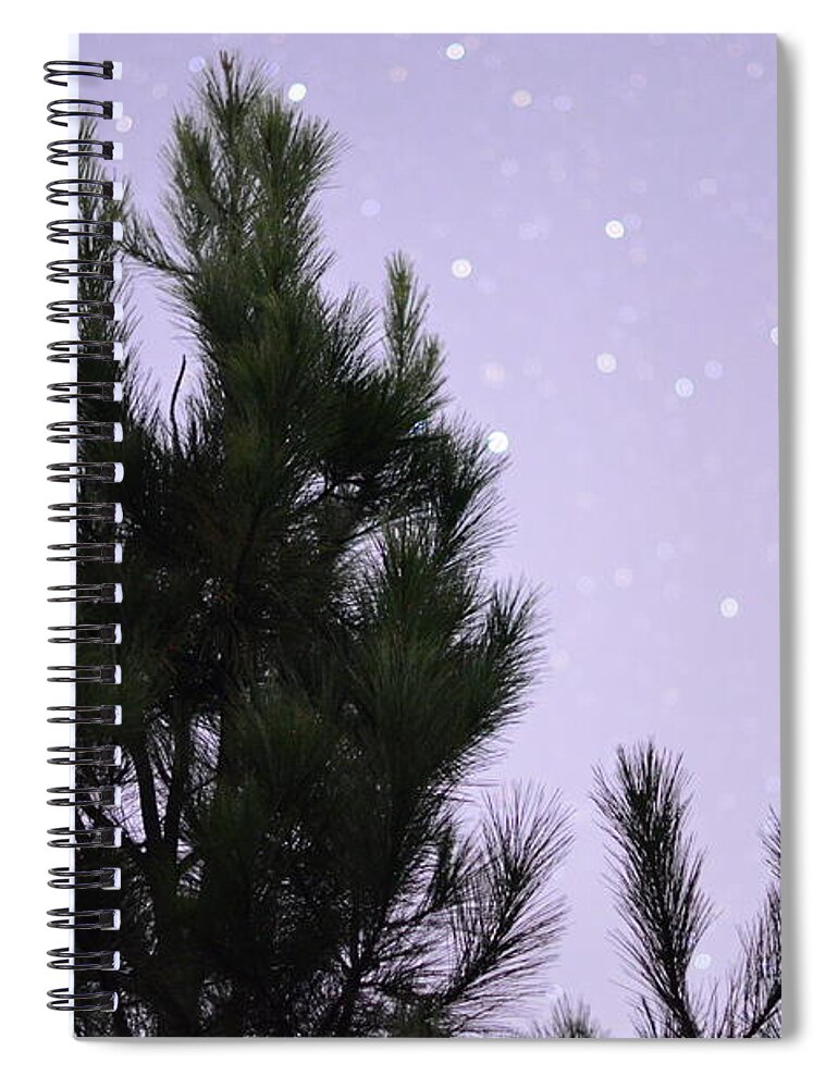 Trees Spiral Notebook featuring the photograph Trees Under the Stars by David Morefield