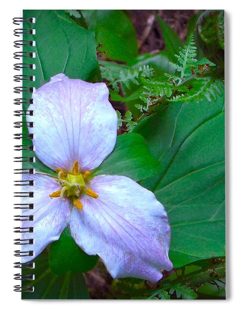 Flower Spiral Notebook featuring the photograph Trillium by Jamie Johnson