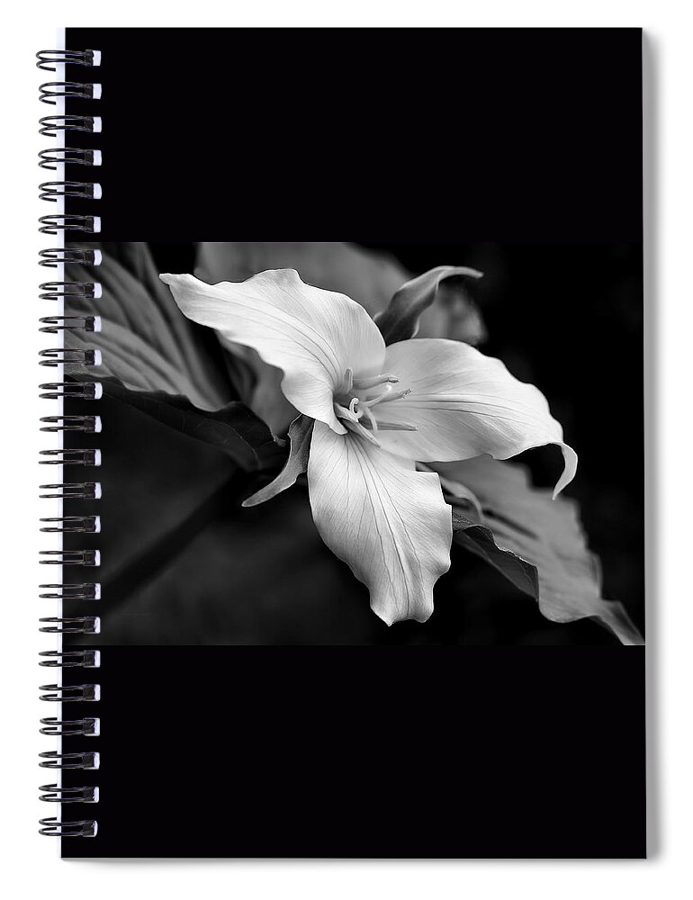 Trillium Spiral Notebook featuring the photograph Trillium Wild Flower Black and White by Jennie Marie Schell