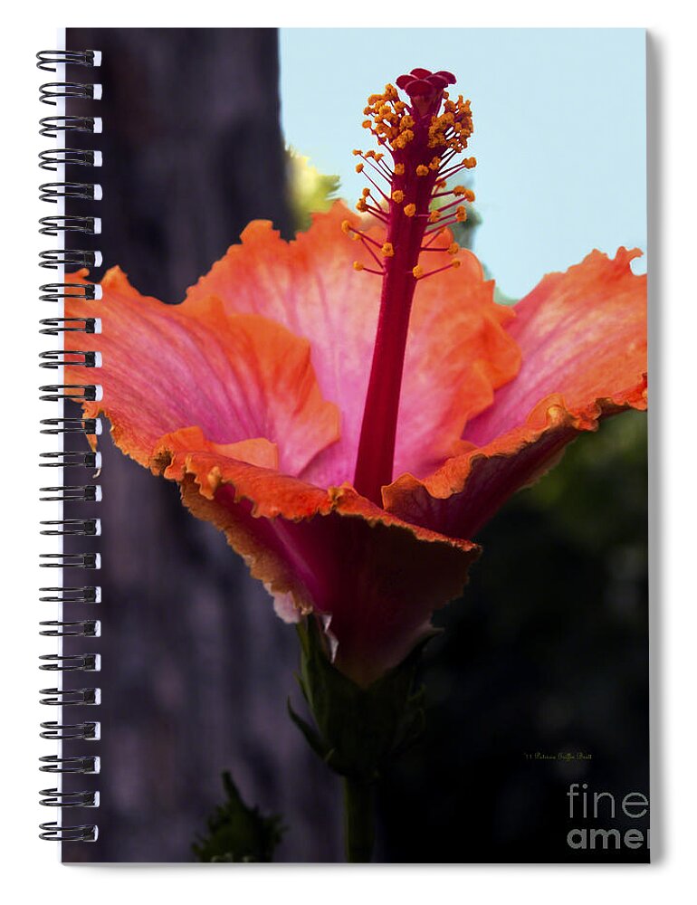 Flower Photography Spiral Notebook featuring the photograph Tropical Beauty by Patricia Griffin Brett