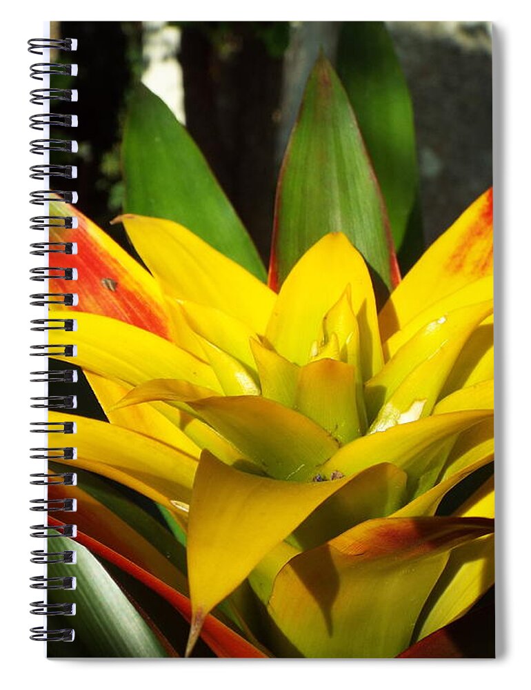 Yellow Spiral Notebook featuring the photograph Tropical by Caryl J Bohn