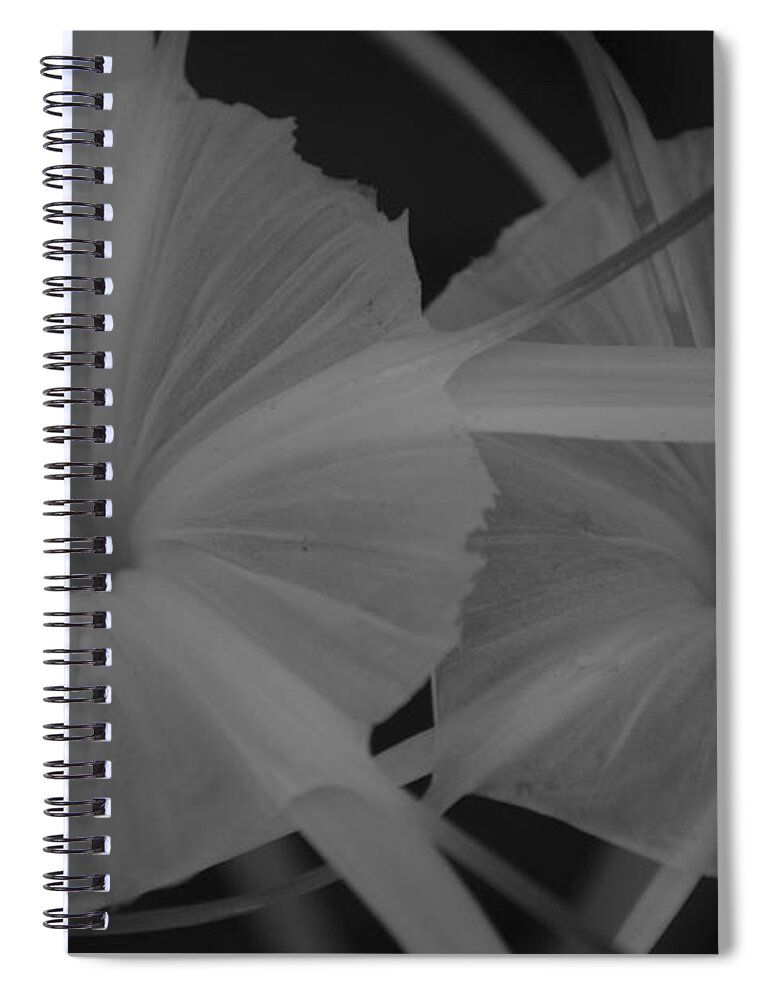 Tropic Flowers Spiral Notebook featuring the photograph Tropical Garden by Miguel Winterpacht