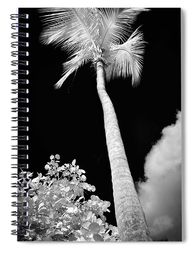 St. John Spiral Notebook featuring the photograph Tropical Palm St. John by Luke Moore