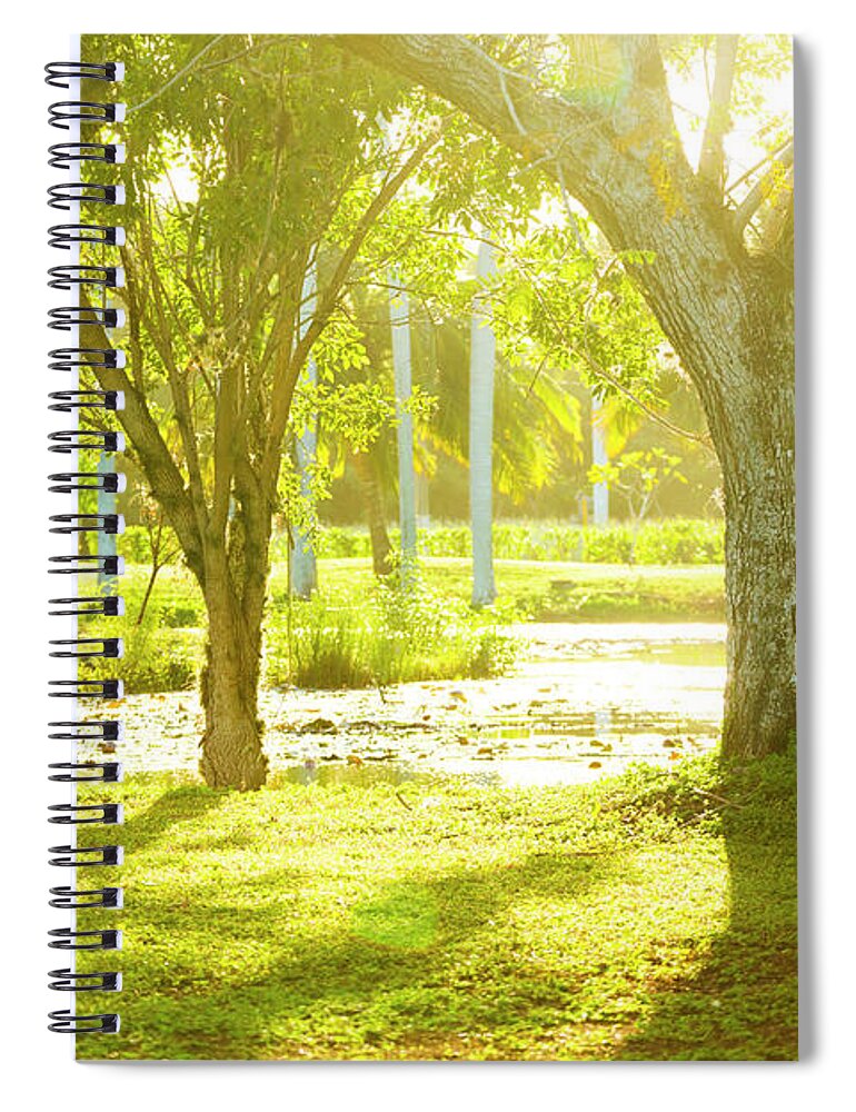 Tropical Rainforest Spiral Notebook featuring the photograph Tropical Park In Cuba by Spooh