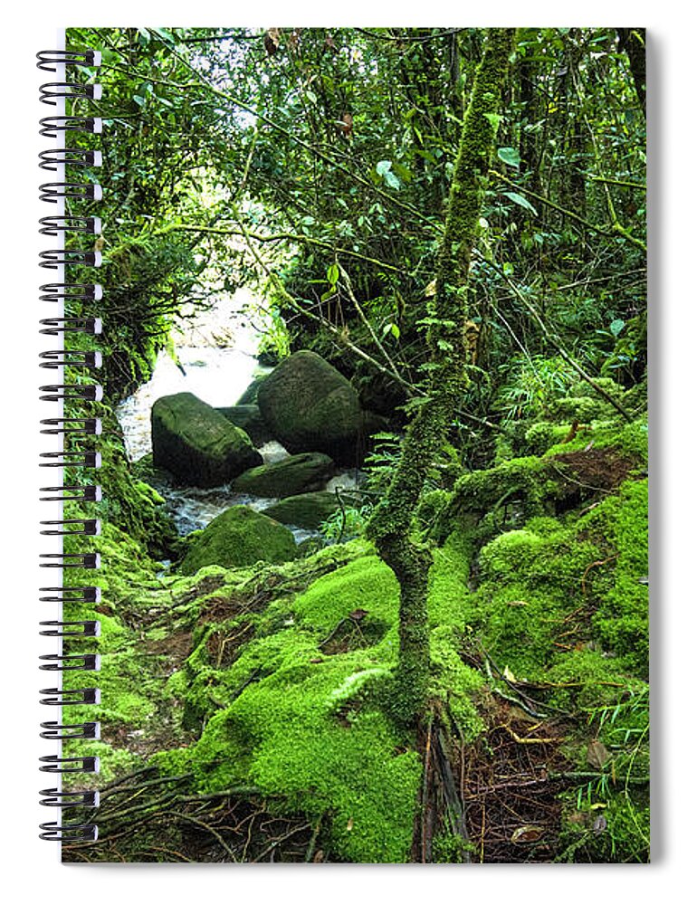 Tropical Rainforest Spiral Notebook featuring the photograph Tropical Rain Forest At Auyantepuy by Apomares