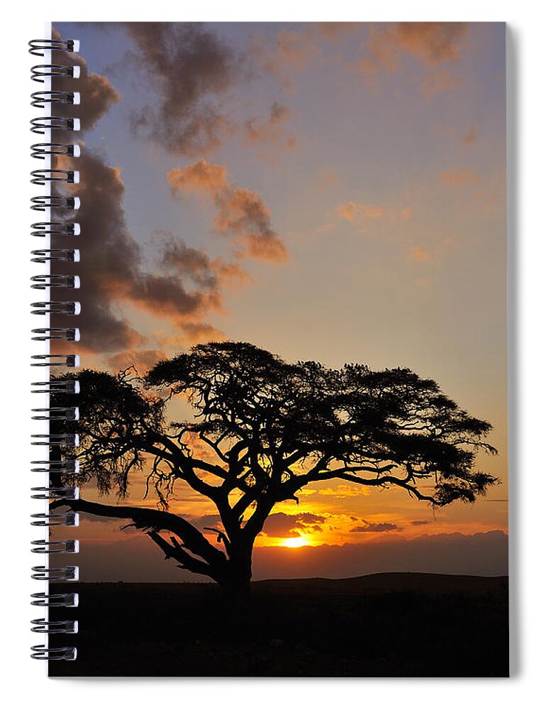 Tsavo East National Park Spiral Notebook featuring the photograph Tsavo Sunset by Tony Beck