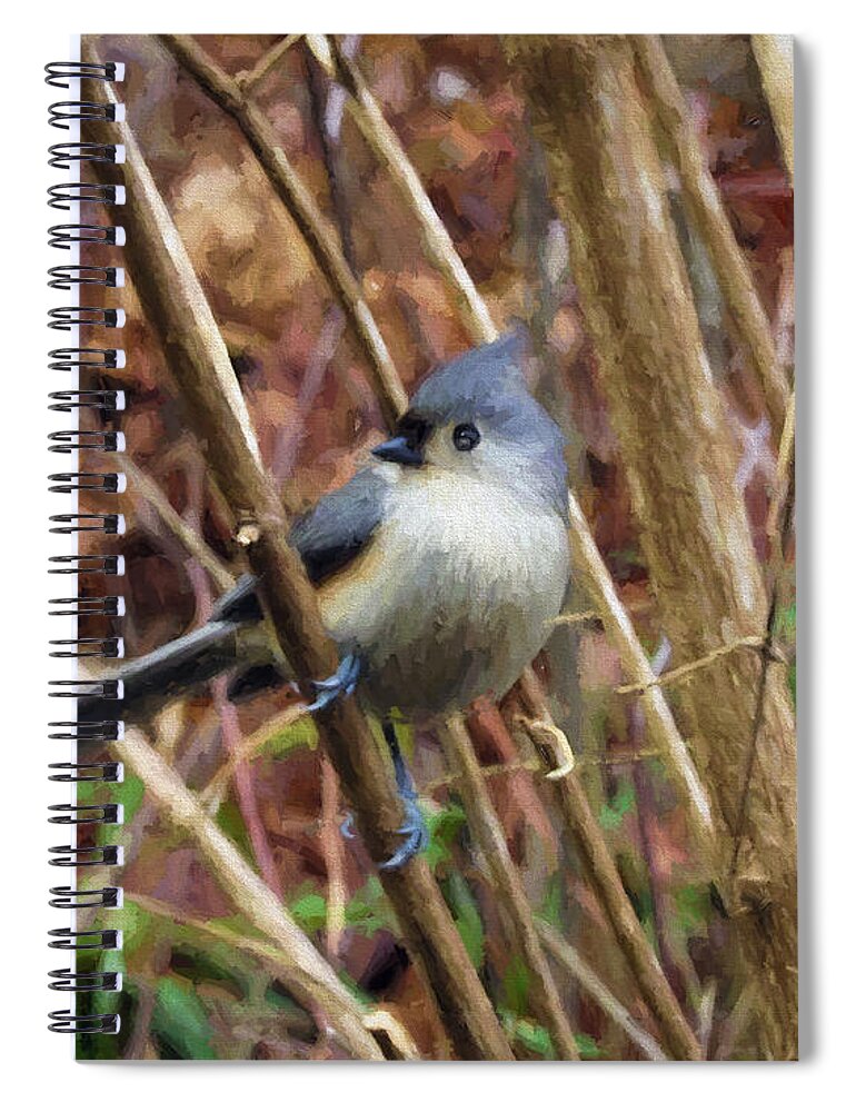 Tufted Titmouse Spiral Notebook featuring the photograph Tufted Titmouse on branch by Denise Beverly