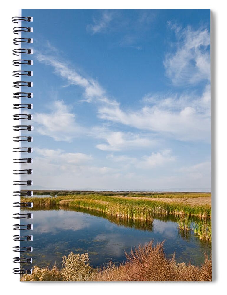 Beauty In Nature Spiral Notebook featuring the photograph Tule Lake Marshland by Jeff Goulden