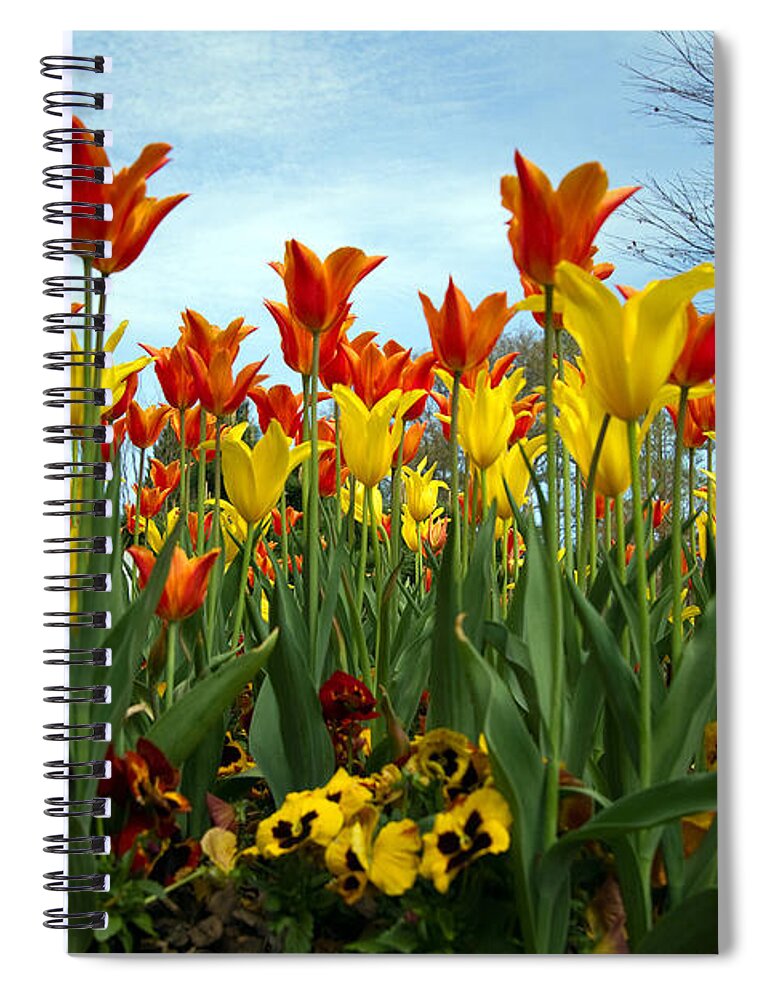 Flowers Spiral Notebook featuring the photograph Tulip Time by Farol Tomson