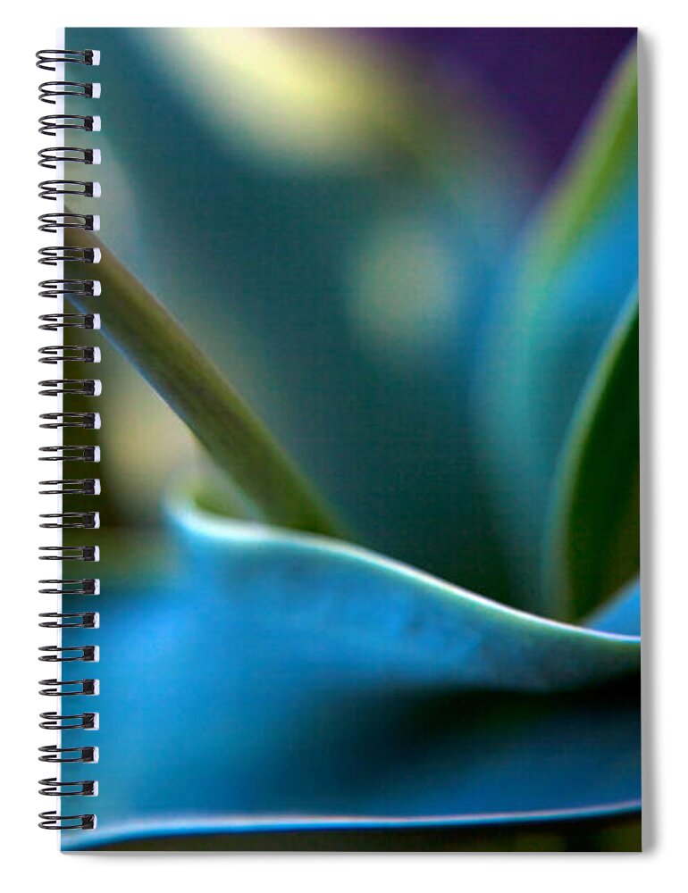 Modern Spiral Notebook featuring the photograph Tulip Unexpected by Theresa Tahara