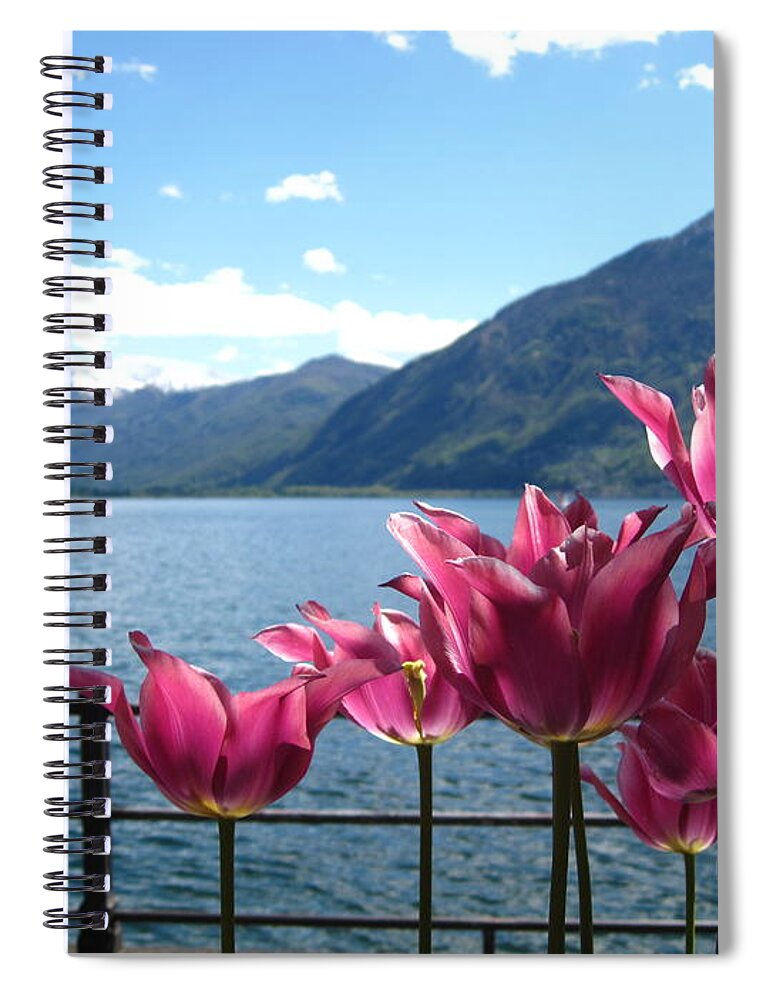Sky Spiral Notebook featuring the photograph Tulips at Lake Geneva by Amanda Mohler