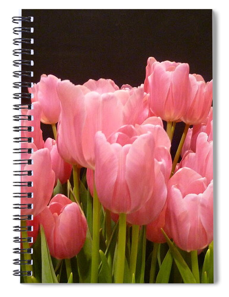 Tulips Spiral Notebook featuring the photograph Tulips in Bloom by Lingfai Leung