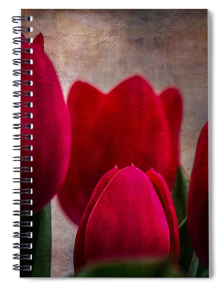 Tulips Spiral Notebook featuring the photograph Tulips by Judy Wolinsky
