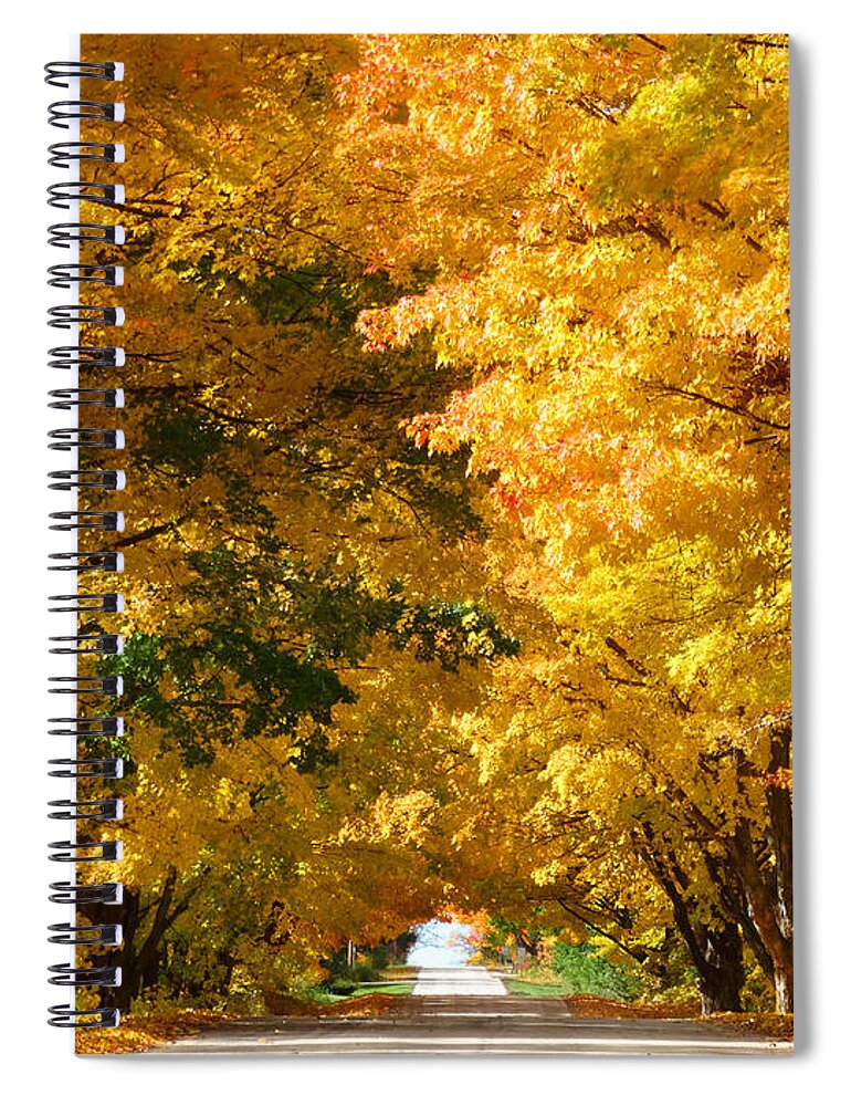 Fall Spiral Notebook featuring the photograph Tunnel of Yellow Leaves by David T Wilkinson