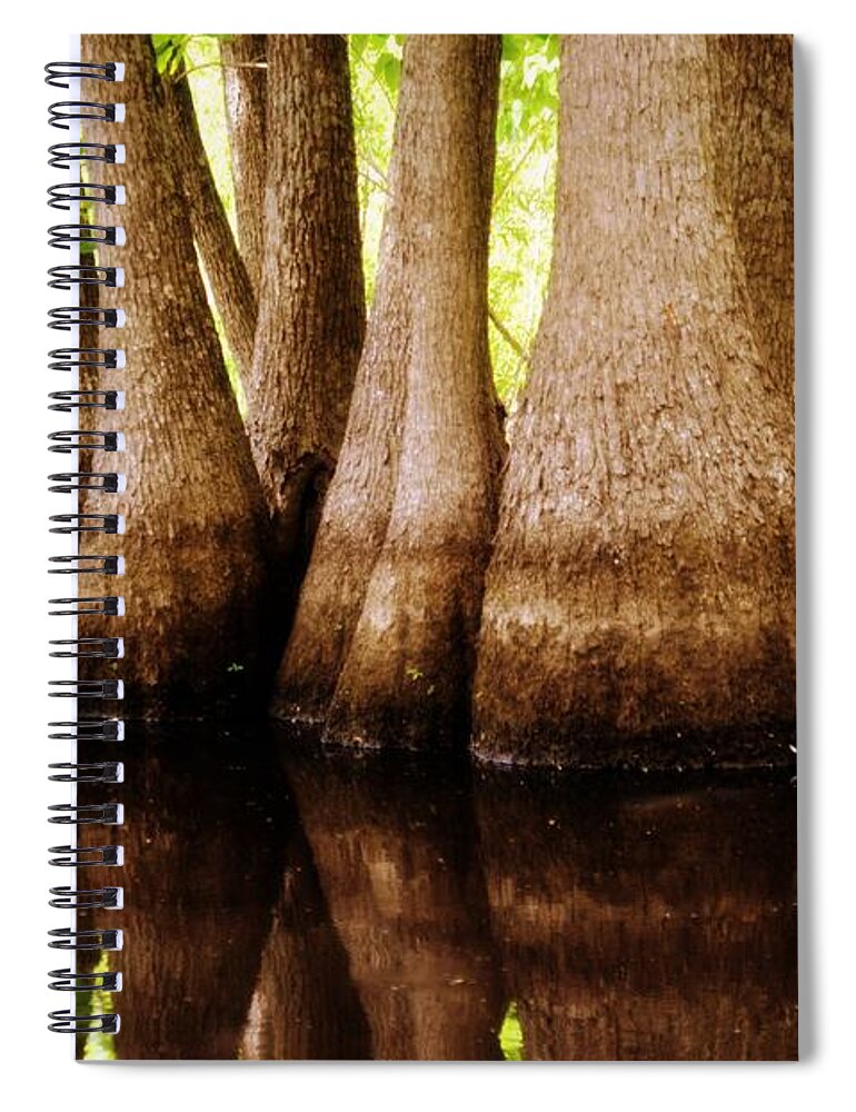 Swamp Spiral Notebook featuring the photograph Tupelos by Marty Koch