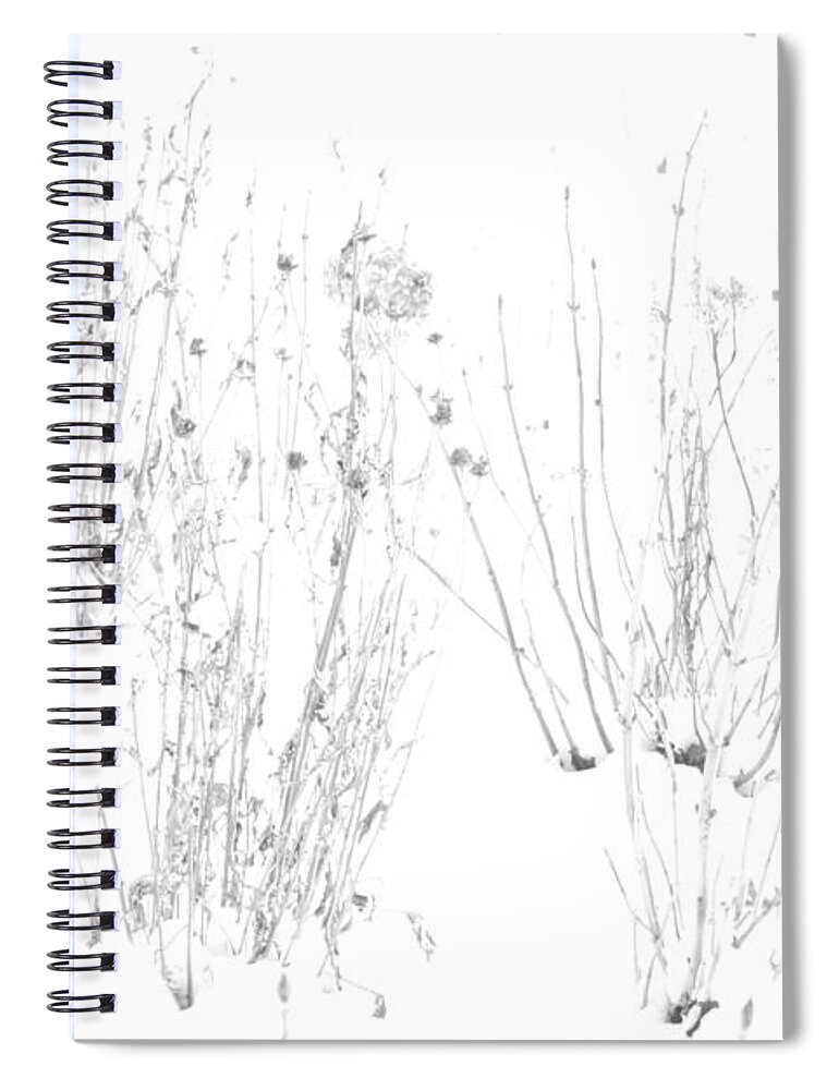 Black And White Image Spiral Notebook featuring the photograph Weeds in Snow by Valerie Collins