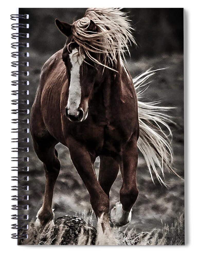 Twilight Challenge Spiral Notebook featuring the photograph Twilight Challenge by Wes and Dotty Weber