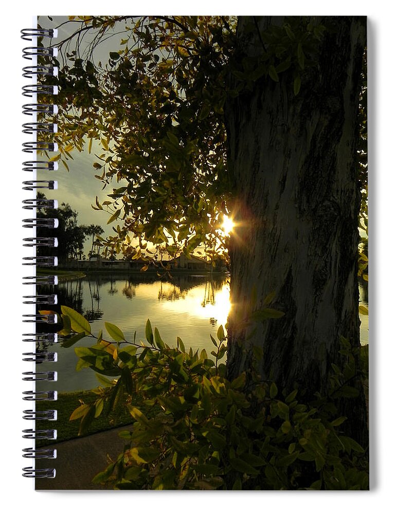 Tree Spiral Notebook featuring the photograph Twilight Splendor by Deb Halloran