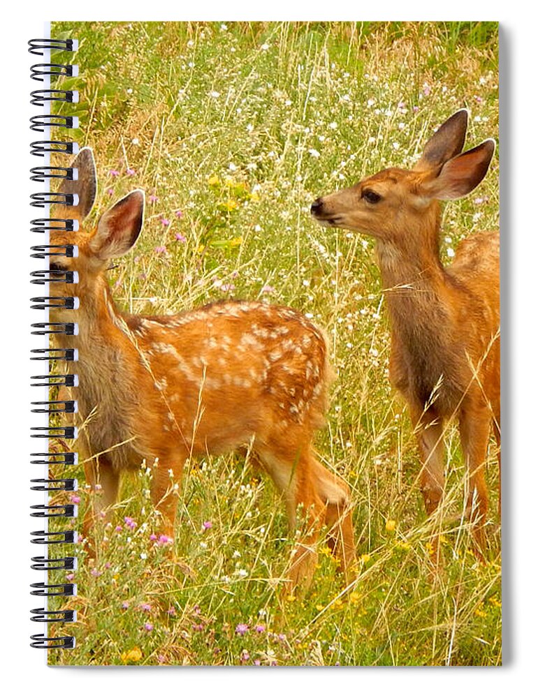 Photo Spiral Notebook featuring the photograph Twin Fawns by Dan Miller