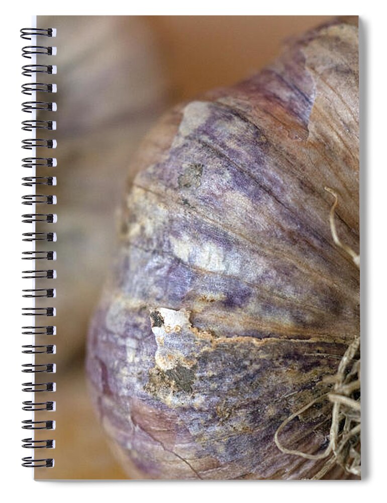 Garlic Spiral Notebook featuring the photograph Two Garlic Heads, Close-up by Rebecca E Marvil