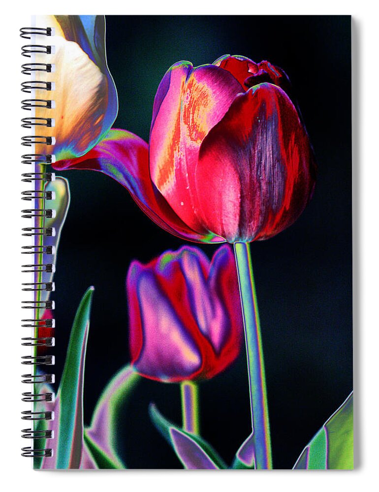 Tulips Spiral Notebook featuring the digital art Two Lips 4 You by Joseph Coulombe
