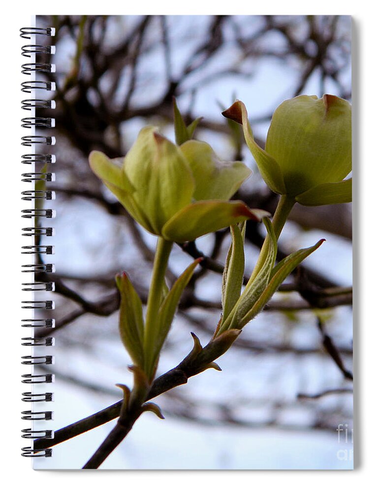 Dogwood Spiral Notebook featuring the photograph Two of a kind by Andrea Anderegg