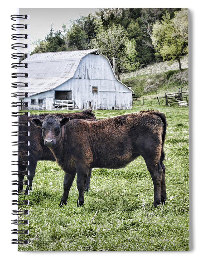 Cow Spiral Notebook featuring the photograph Two of a Kind by Cricket Hackmann