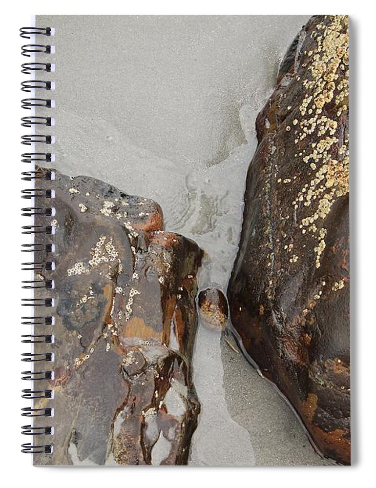 Still Life Spiral Notebook featuring the photograph Two Rocks by Michael Saunders