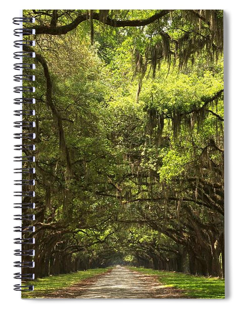 Avenue Of The Oaks Spiral Notebook featuring the photograph Under The Ancient Oaks by Adam Jewell
