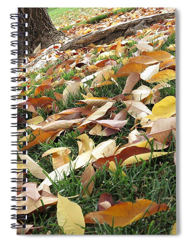 Fall Leaves Spiral Notebook featuring the photograph Underfoot by Jessica Myscofski