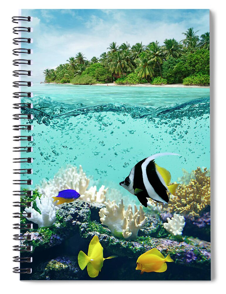 Bedrock Spiral Notebook featuring the photograph Underwater Life In Tropical Sea by Narvikk