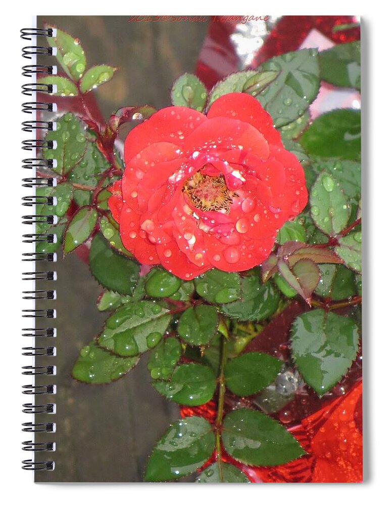 Symbol For Love Spiral Notebook featuring the photograph Universal Love by Sonali Gangane