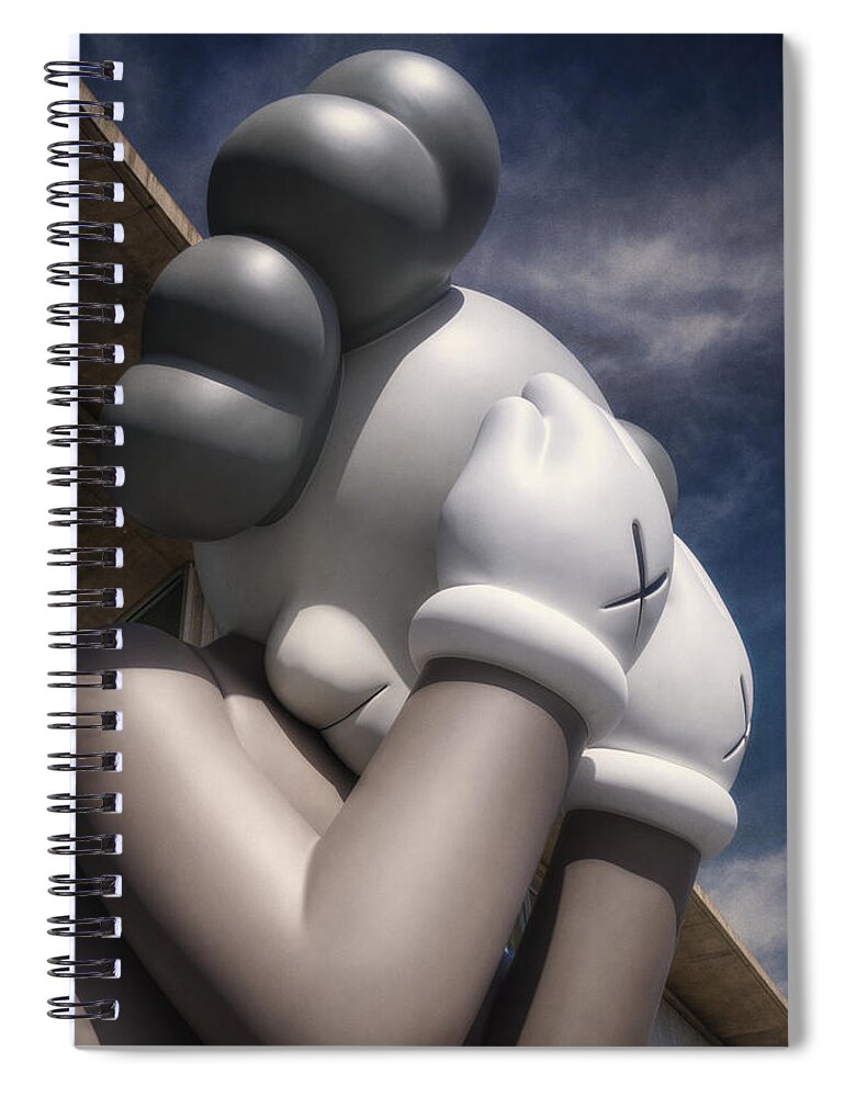 Kaws Spiral Notebook featuring the photograph Universal Themes by Joan Carroll
