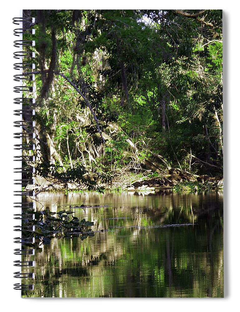 Ocklawaha River Spiral Notebook featuring the photograph Up The Lazy River by Bob Johnson