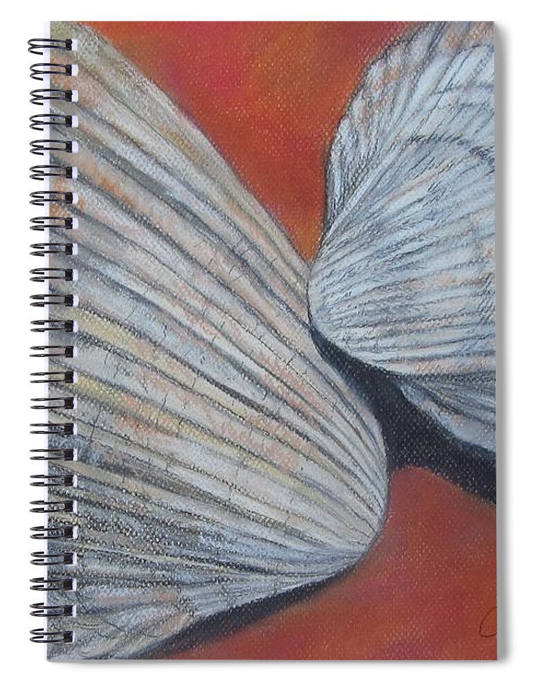 Cockle Spiral Notebook featuring the pastel Van Hyning's Cockle Shells by Cathy Lindsey