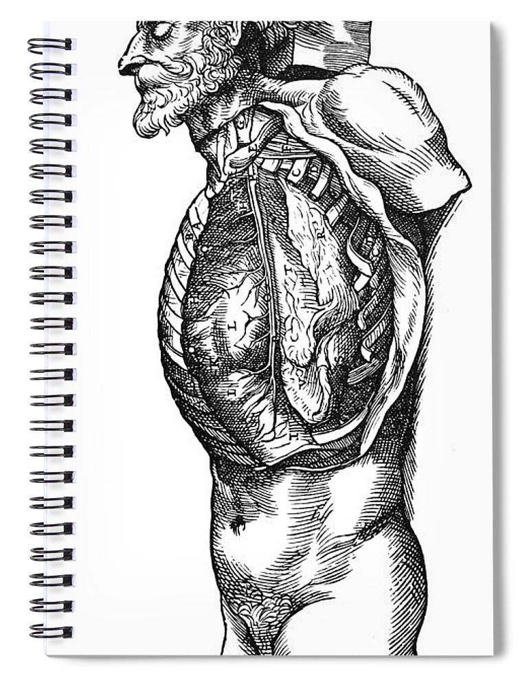 1543 Spiral Notebook featuring the photograph Vesalius: Thoracic Cavity by Granger