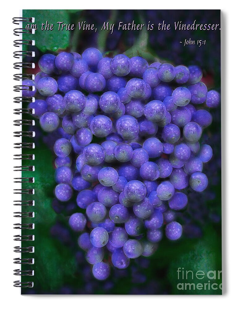Grapes Art Spiral Notebook featuring the painting Purple Grapes by Constance Woods